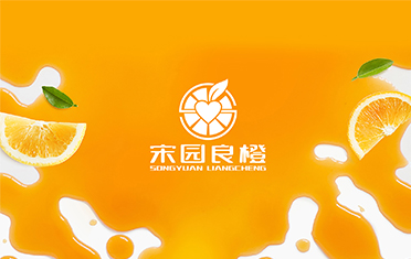 某良橙——宣城LOGO设计